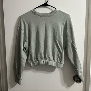 Zara Long Sleeve Crop Top Crew